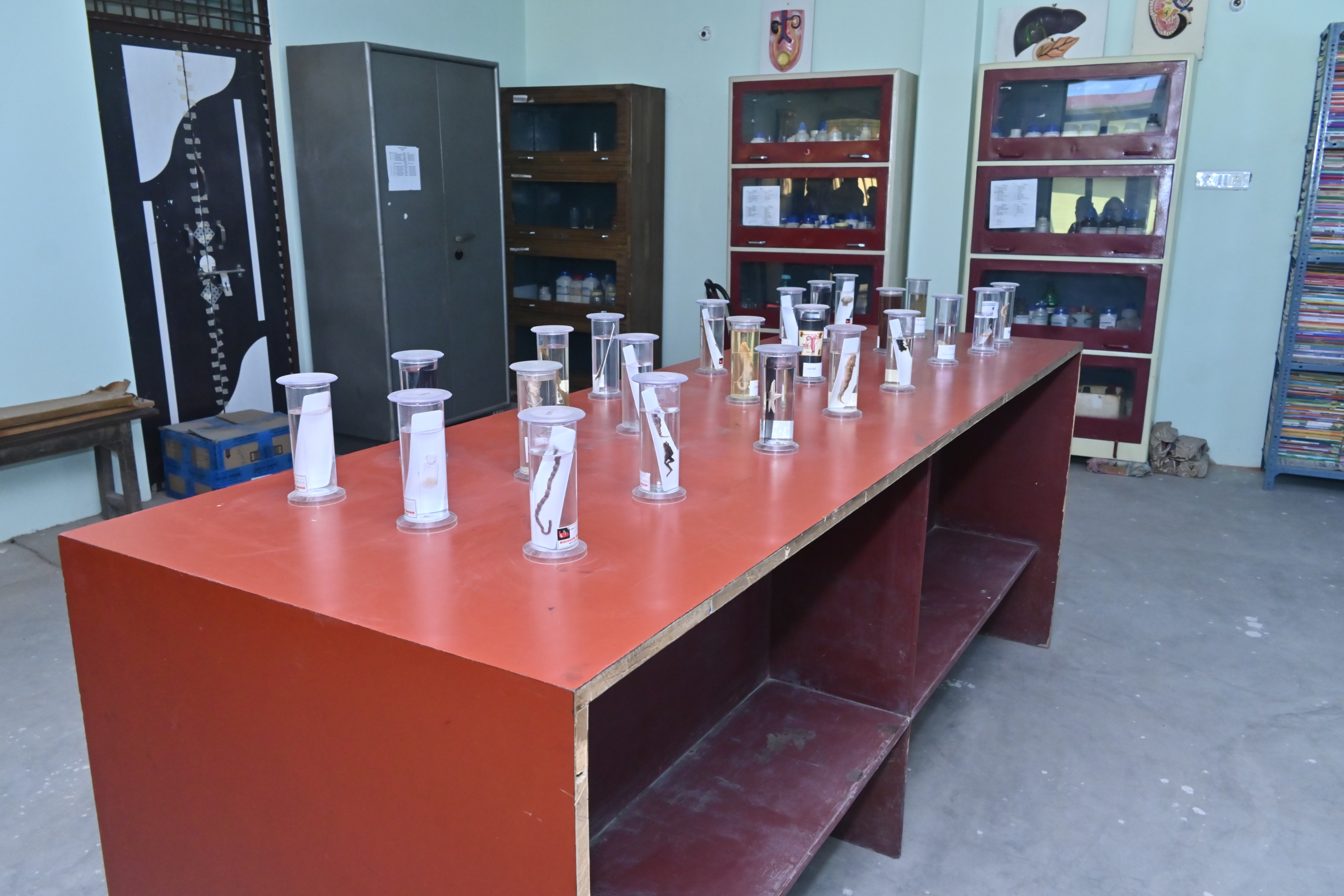Science Learning Setup